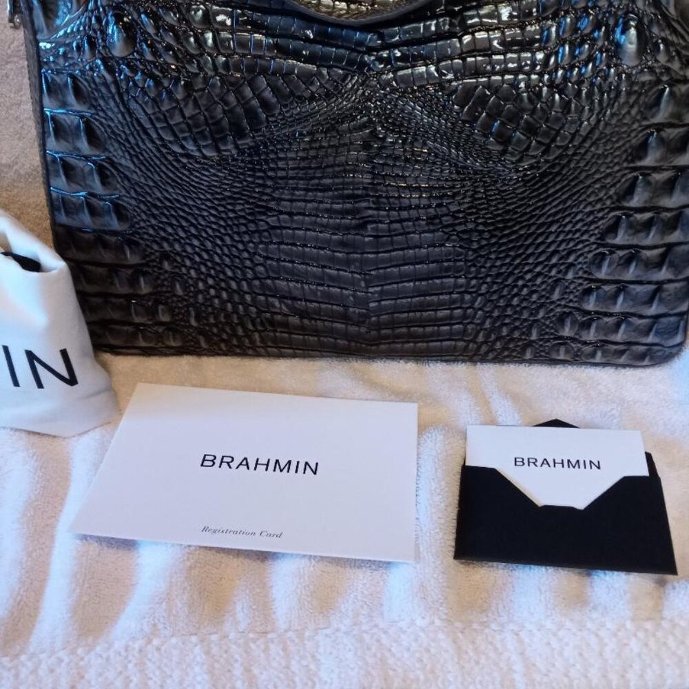 Brahman - Tabitha - Nocturnal Melbourne - Picture 3 of 6